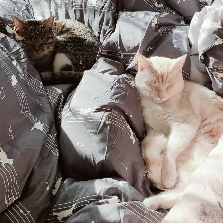 786bde49 ec24 4151 931d 4e4dae78bbeb 1641185797907