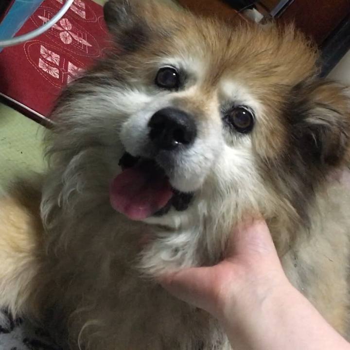 786c3b97 fb62 4a05 9fa6 f99b819045b2 1550227427869