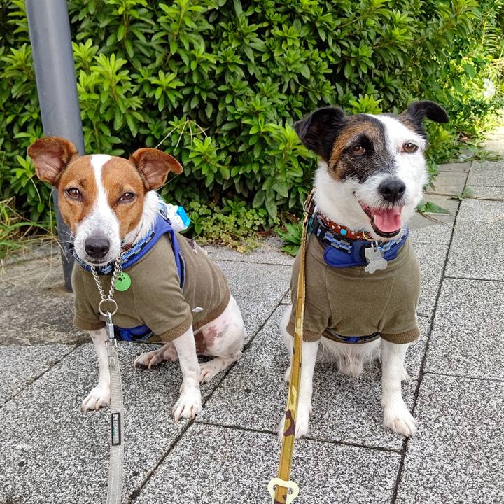 786c9596 ba9d 4ae5 99c8 2dce912b3793 1632005157024