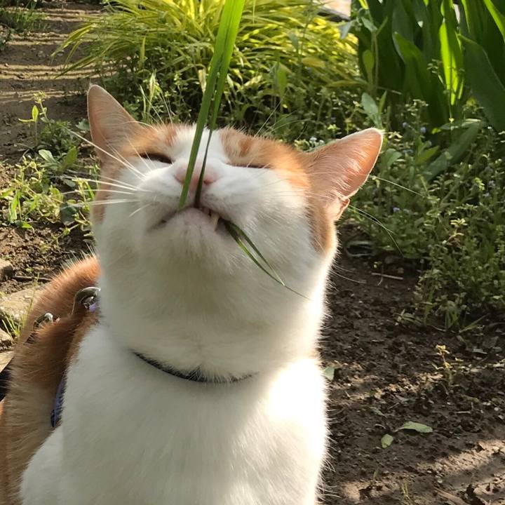 786cca1b 598b 4bc7 8e88 995b5be76764 1525434143791