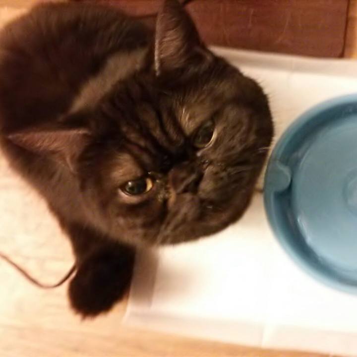 786cf39d dff5 4ea9 a1ff 18d9985f3a35 1544912625350