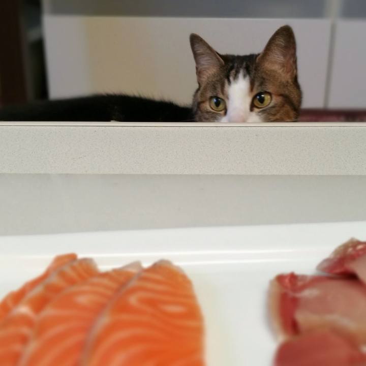 786d1b6f 1c66 48b1 82af 7fa081210097 1514782973160