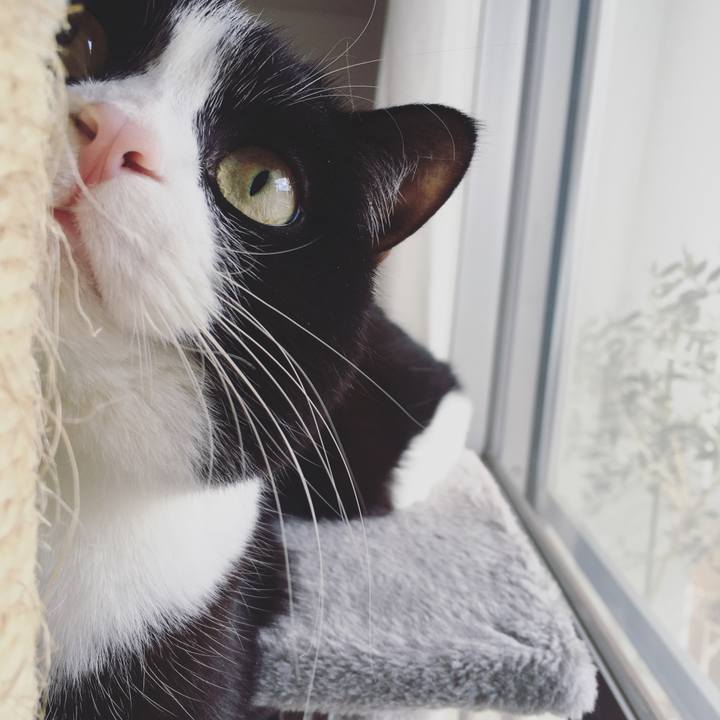 786d774c fec5 4616 ab28 55e111e64426 1581249995062