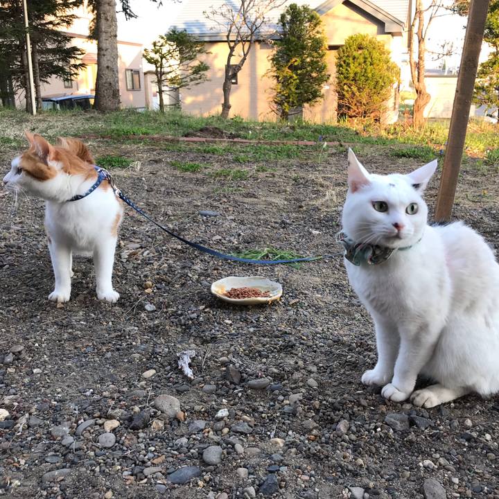 786d8071 b7e7 41a9 979c c4a8d08cbb33 1557057687202