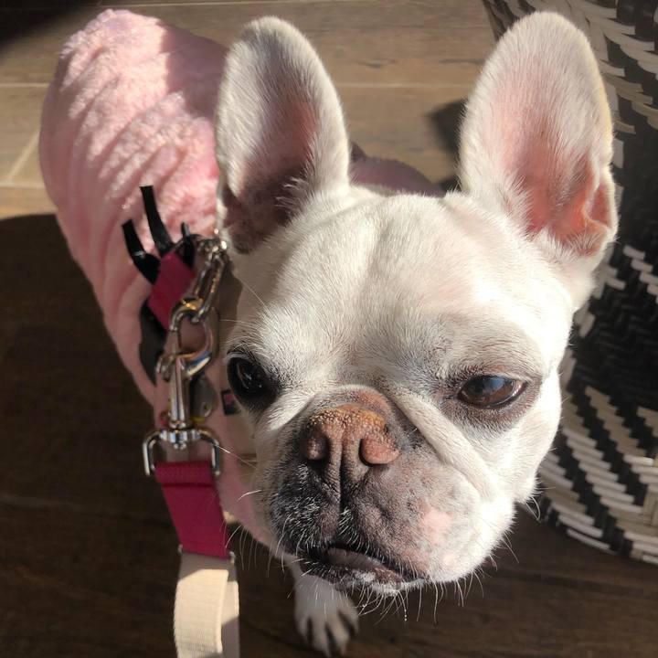 786d8451 1527 4364 a6f8 20e48e708c12 1675498193817