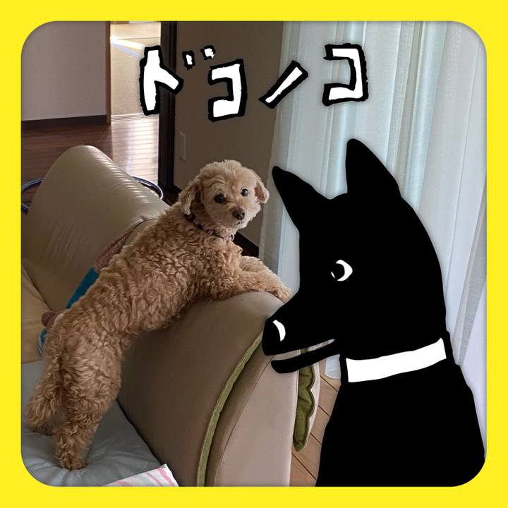 786d870a efb1 46e2 ab5f 4603b679369a 1622900575453