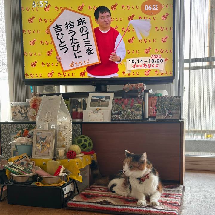 786d8876 5bfc 415a 87ed b2c21ca5e3d6 1728857065176