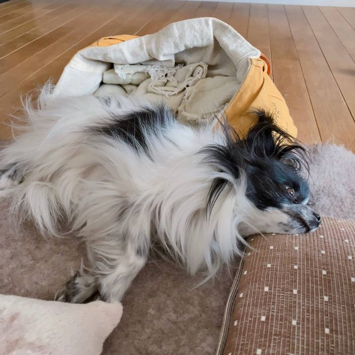 786dba85 30b6 498e a14e 44a0e267dba3 1553937445421