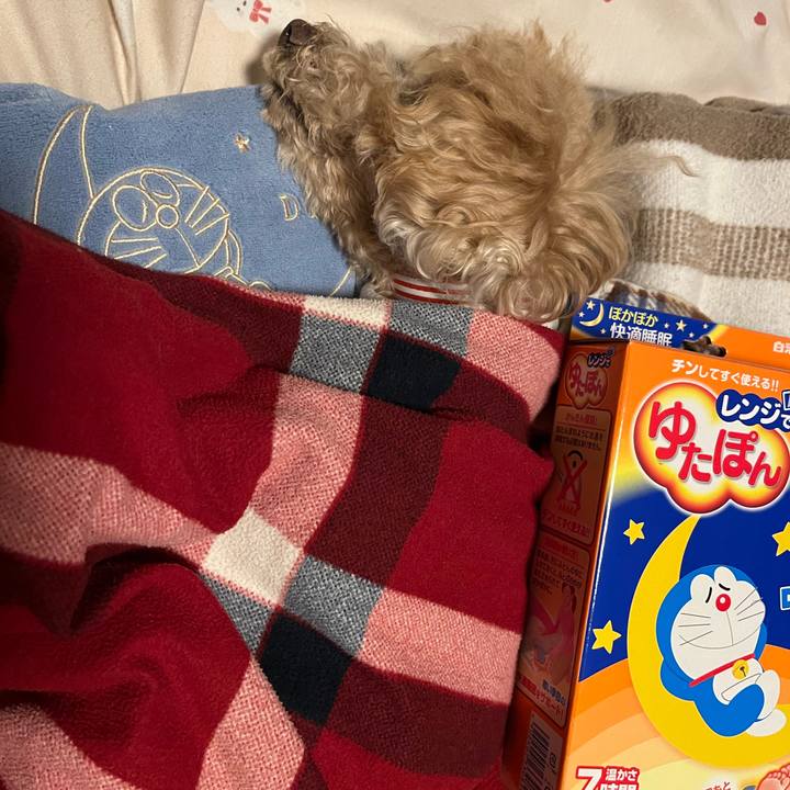 786dc3f0 0e98 49f4 8312 8b1f5653aeb8 1766695685392