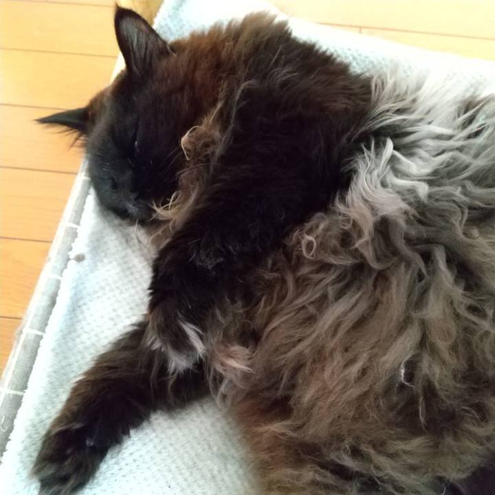 786de52f ed2c 4118 a054 e121cf9710fe 1707176421120