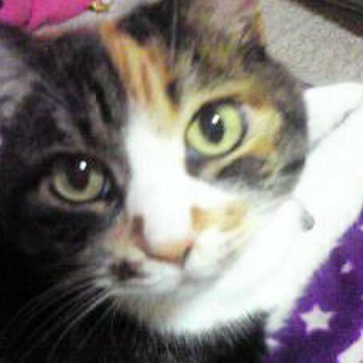 786df955 473f 4df5 842b b33e64642352 1582415107700