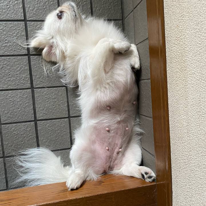 786e2579 d043 4b19 8a80 d6f4030fc190 1627860148101