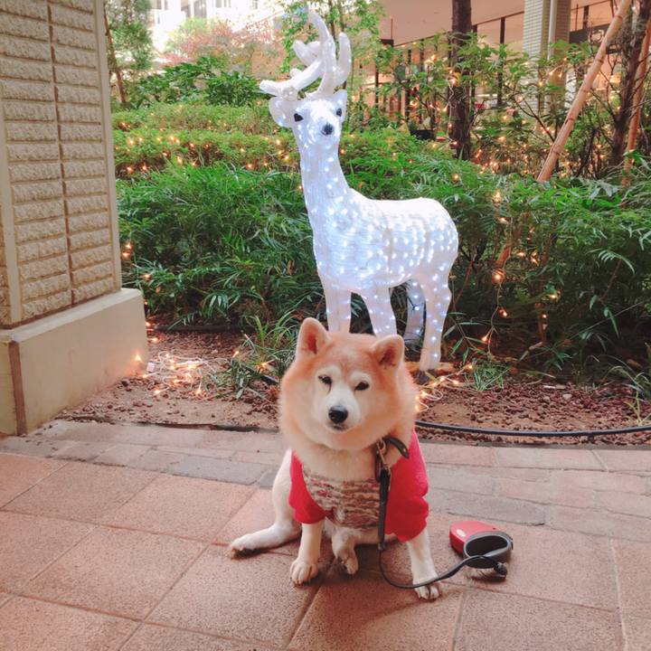 786e5034 9690 4eae 97eb cf9bae22841e 1606346181613