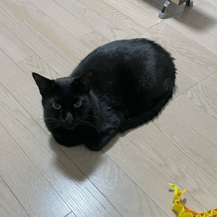 786e72a5 742b 4dac 87f1 6c746302f002 1706704609669