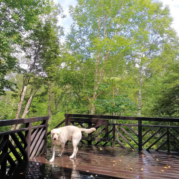 786e9b5b de1c 46f1 82b5 ce7d186c5d3f 1534071809172