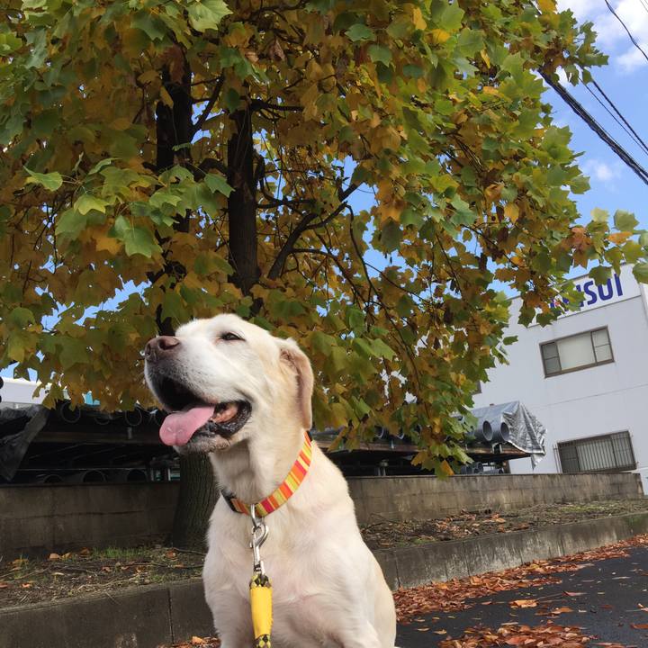 786eaaad 1677 4bcd 90d6 69e4a0157dd6 1571140444113