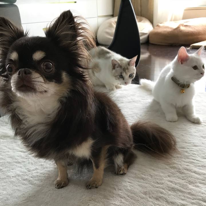 786eb6e0 d65b 47f4 b692 e3cdbc907260 1508555392539