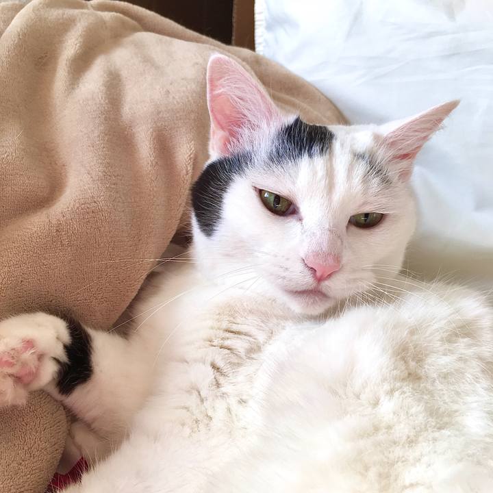 786ebad8 06c5 41d0 ad31 4728d534bc67 1573802210327