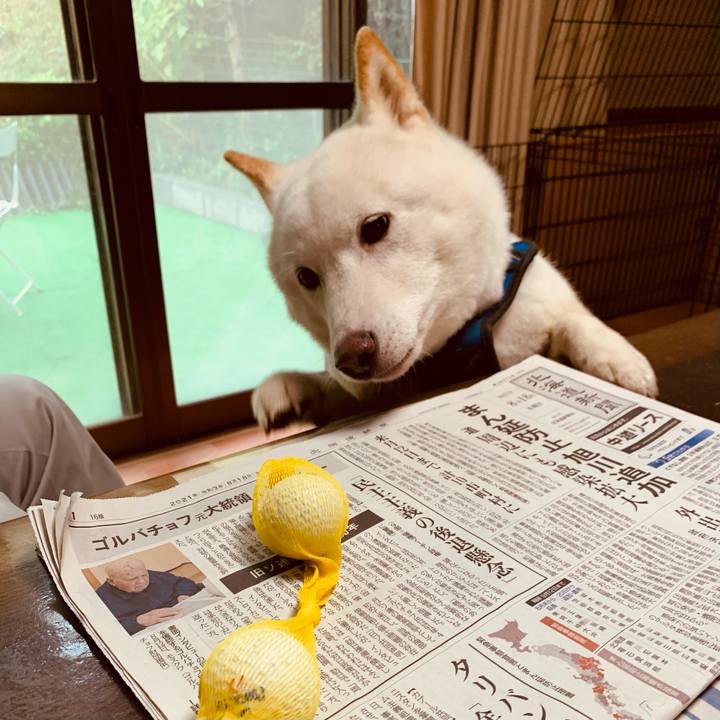 786ee1b2 9de4 4f96 a86a 1bd04a7d829c 1629368365204