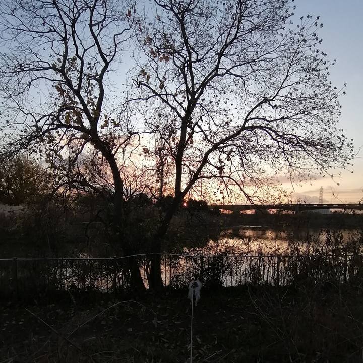 786eec89 db26 452b 9ee7 5bb506cad64d 1577094610338