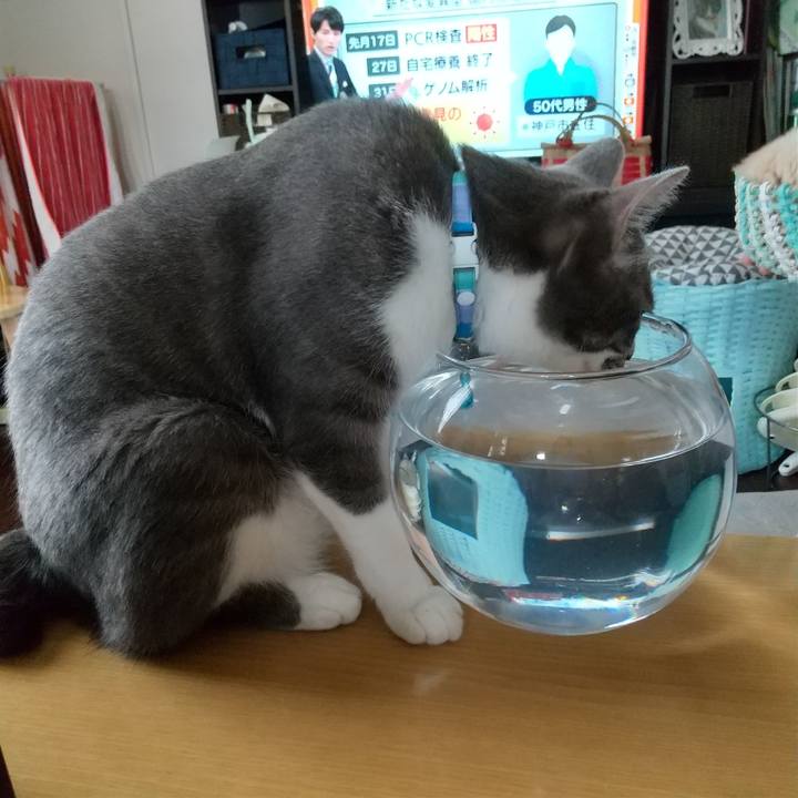 786f18d3 9c1d 4e51 8e61 c084ef710c4c 1622591507602