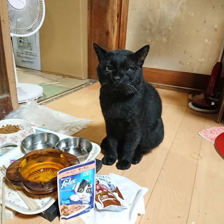 786f1a9c 05e6 474d 8be9 c9930e9c6b0b 1629549122728