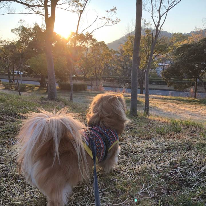 786f3c13 efaf 4e38 8681 5d019958842b 1554240926196