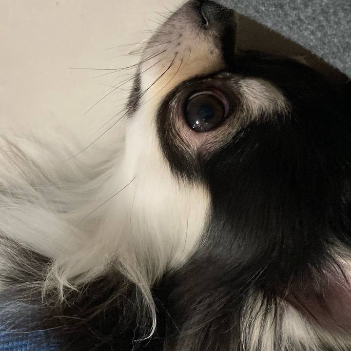 786f9219 0d73 4ddd 96d9 9ceecfd52ba6 1616247767531