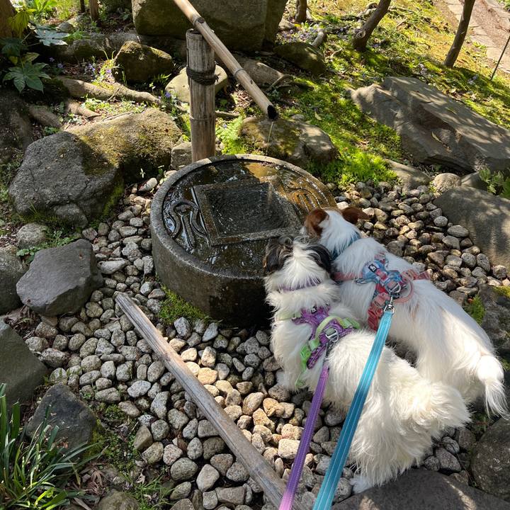 786f9504 6161 4b9c 8faa 18d3bb16efed 1774785426088