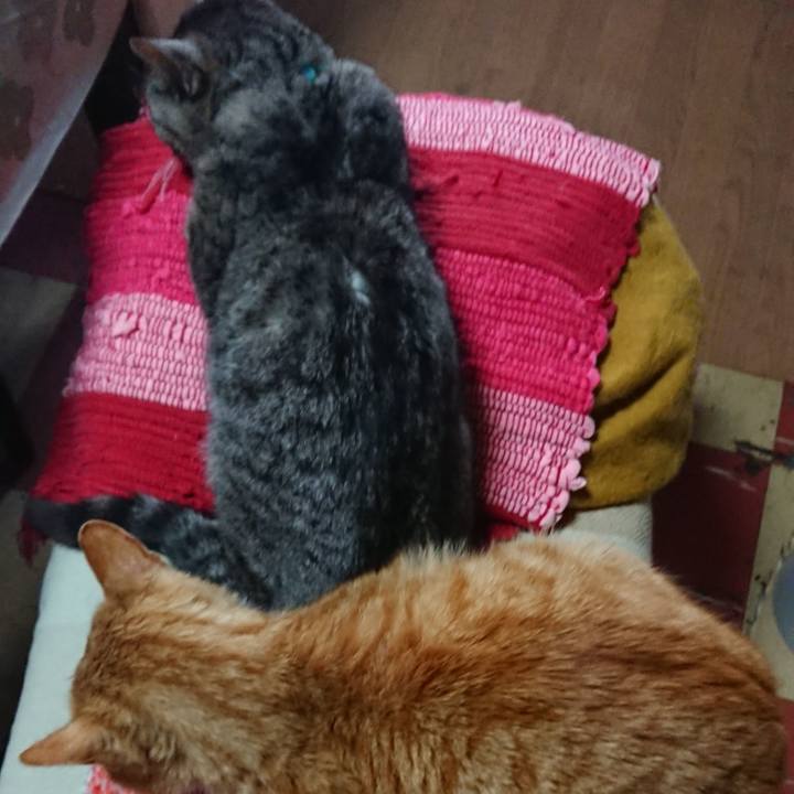 786fabd2 096b 416c 8259 faab956cca39 1554593813972