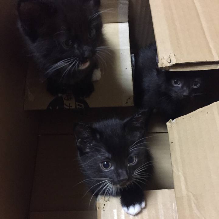 786fc6e2 d162 4f05 8075 cc978e9c6d72 1526049708903