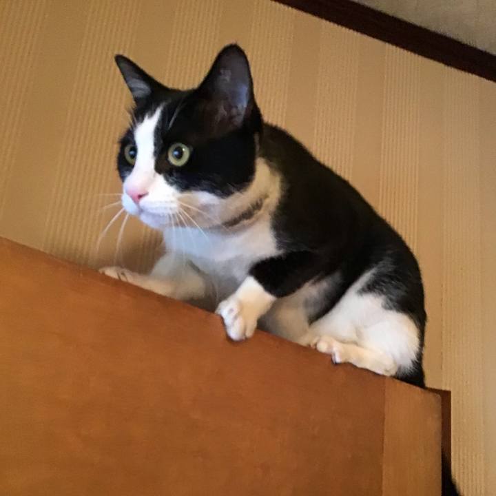 786fddbd 43ca 4846 8eee 7ae7358598c5 1654984434964