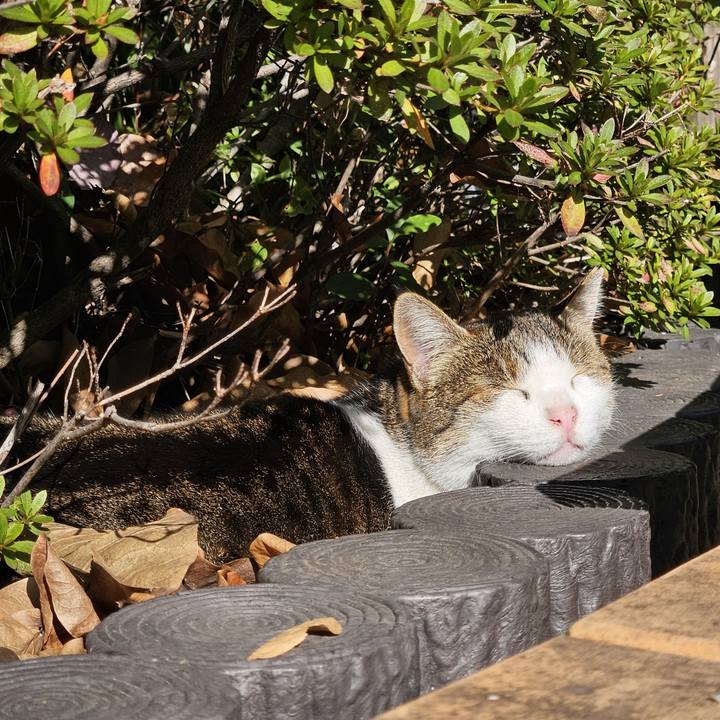 78703a56 0f92 43e1 afa3 3d22fc82ebc7 1702084350184