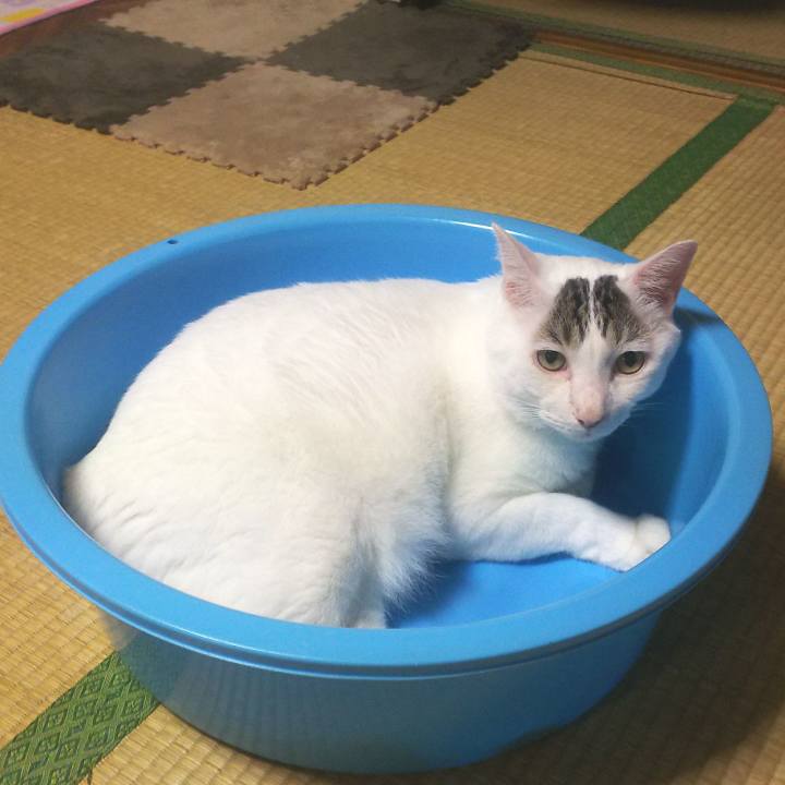 787046c2 f7e9 4ba7 aabd 73dcf5293ab7 1566221144807