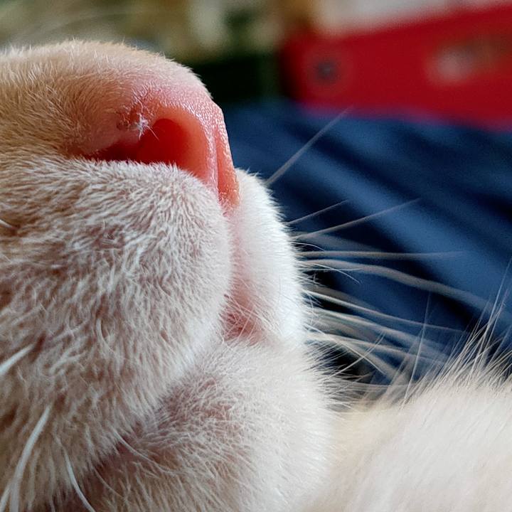 7870a5f4 530b 4b7f bafd 1bdf83645a50 1627792269622