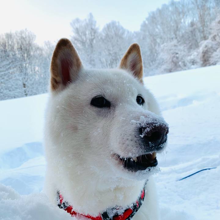 7870c2af b71e 4487 a13b 4c42300b013d 1643241912580