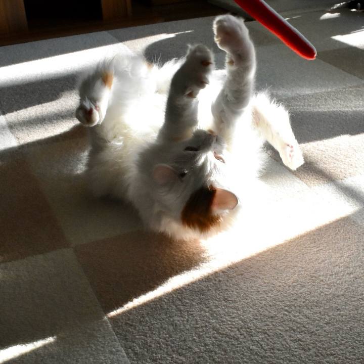 787104ad 1962 412c ad89 c97c3c4a890e 1767493977171