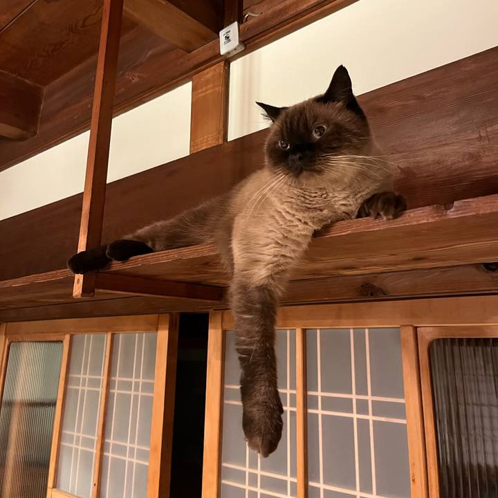 78711b1e 47aa 4b43 a027 37f69da1bf49 1697114682800