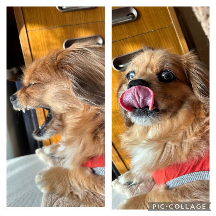 78712325 93d6 4445 be3d 1bac13a96061 1678492633744