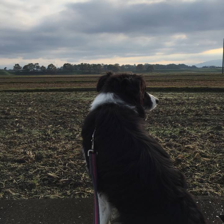 78714e0e 9b21 4c9f ba04 f512dd3f920f 1542413770106