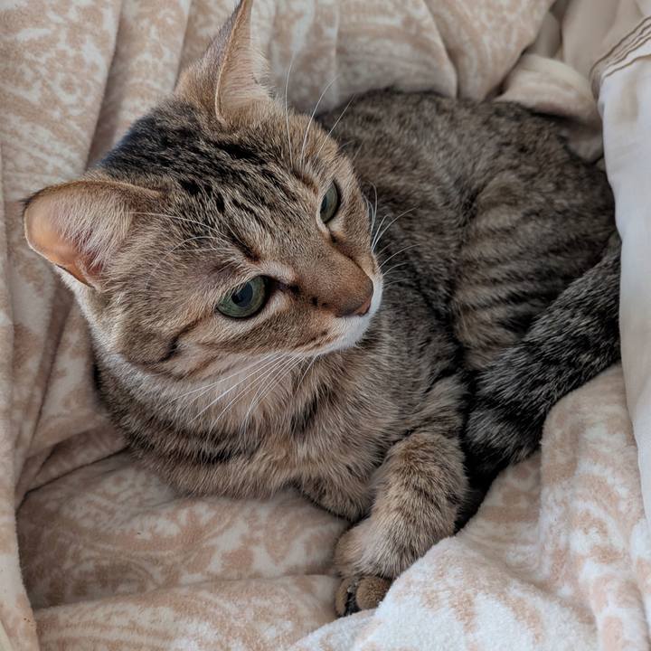 7871c661 60fa 41b2 9fb6 4c3e137d3e68 1770509070412