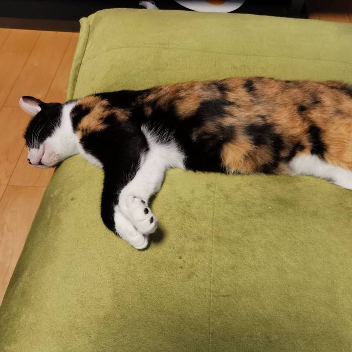 7871ef88 3eda 482e 93fc 5cfe311d0c83 1631975296502