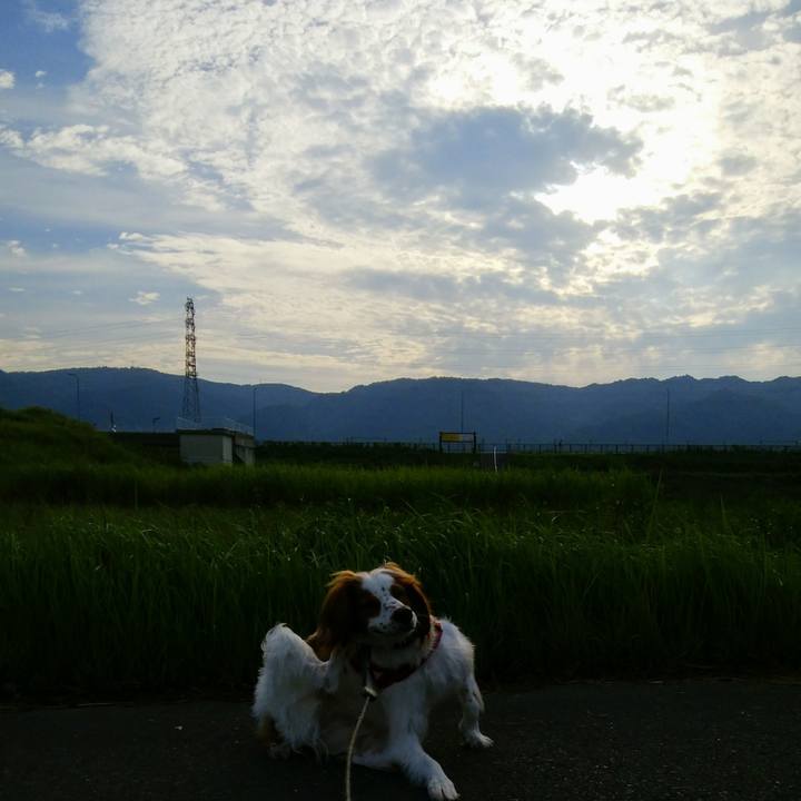 7871f0a6 e24f 4201 862f 75fa6d70e5ef 1536192789096