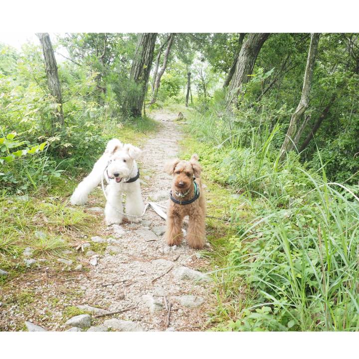 78723442 4fb0 414c aec7 f015bda6b763 1560824020561