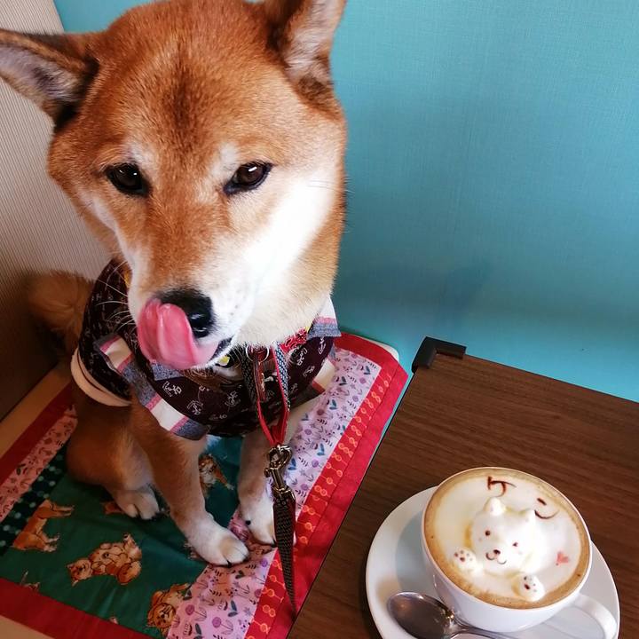 7872881c cab4 49cd 890b de09c8e07ed6 1605349275257