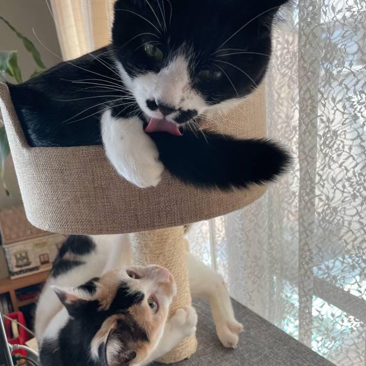 787301dc 586d 4783 af31 afb051fd243b 1690160025290