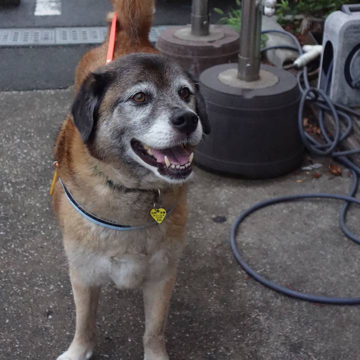 78730dc6 867c 4483 96d6 e1ef7746d93c 1672708037008