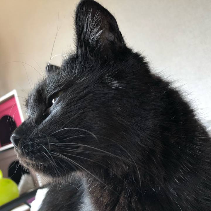 787314f6 36aa 4532 b617 4abf169e2707 1595637512833