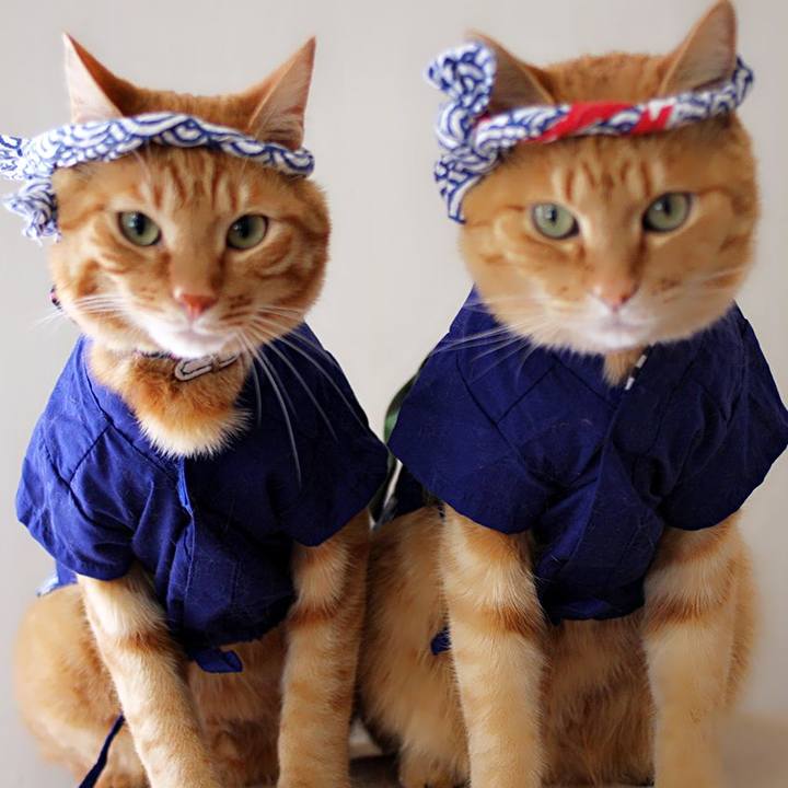 78736075 731b 45f2 94f2 c110a5d38dfb 1693364385208