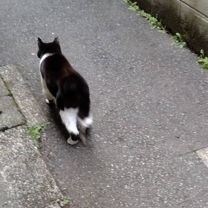 7873a5ed 7a4a 4279 95d3 a7b98ae1dfd8 1711529474827